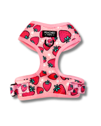 Strawberry Fields - Adjustable Dog Harness