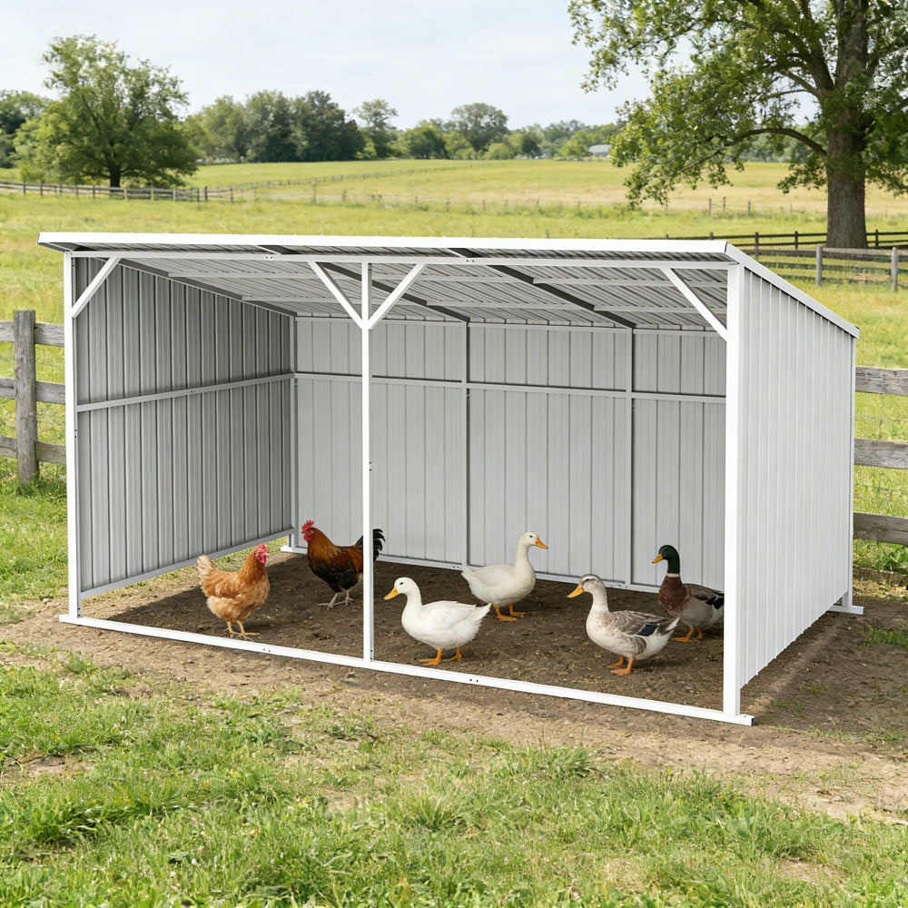 20'x12' Metal Livestock Shed for Horses & Farm Animals