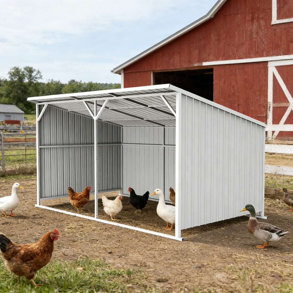 20'x12' Metal Livestock Shed for Horses & Farm Animals