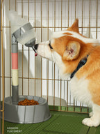 Automatic Water Dispenser Pet Bowl