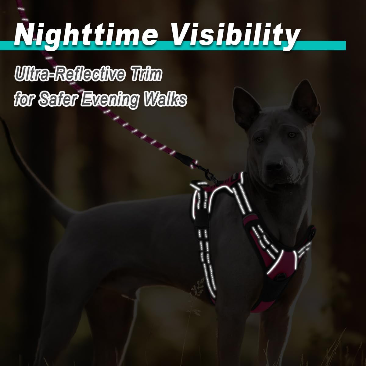 No Pull Dog Harness Adjustable Reflective Oxford Vest Small Medium Large Dogs
