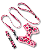 Strawberry Fields - Adjustable Dog Harness