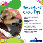 Gingerbread Man Nylon Dog Chew Toy for Aggressive Chewers | USA Made