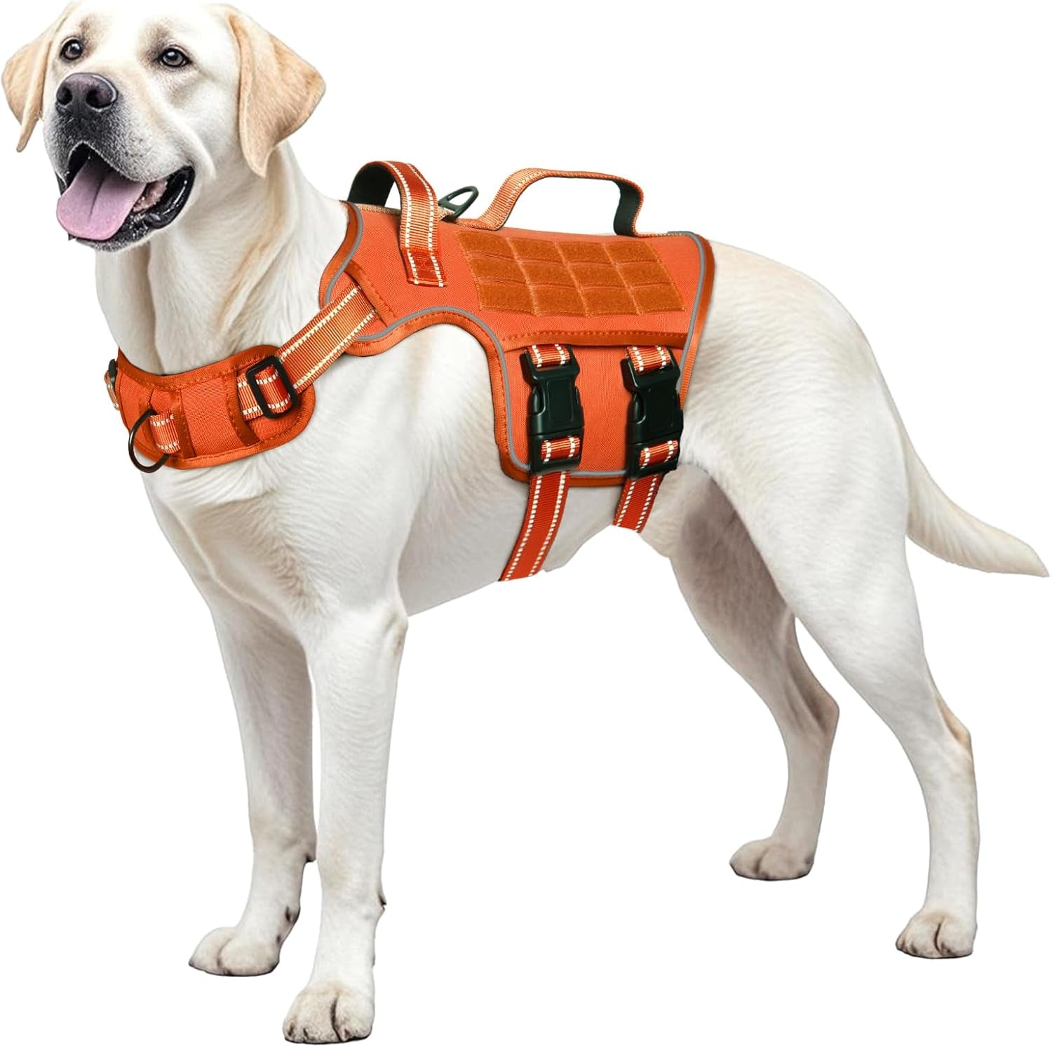 No Pull Tactical Dog Harness Heavy Duty Molle Vest for Medium to XLarge Dogs