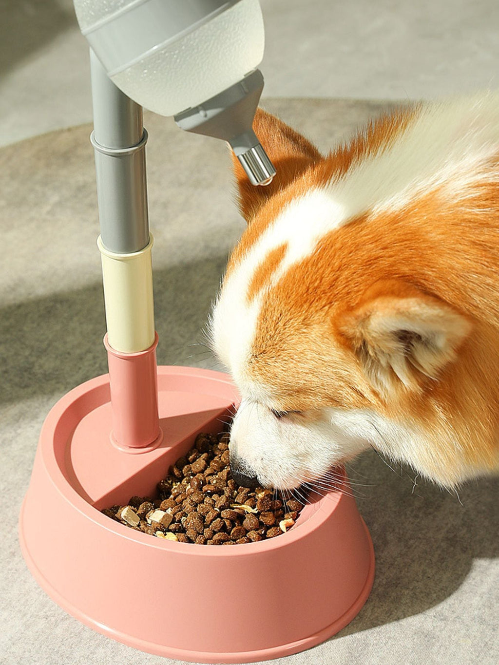 Automatic Water Dispenser Pet Bowl