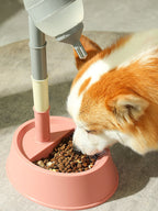 Automatic Water Dispenser Pet Bowl