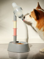 Automatic Water Dispenser Pet Bowl