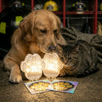 Rescue+Retriever Pet Smoke Detector Multi-pack