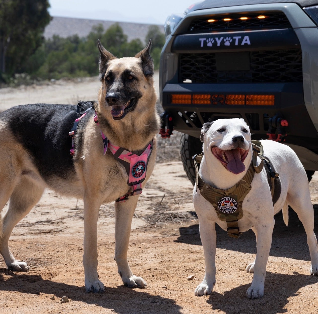 K9R - M1 LightSpeed Harness Large