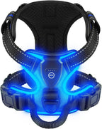 Light-Up LED Dog Harness – Rechargeable No-Pull Vest for Night Walking