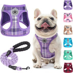 Step-In Dog Harness & Leash Set in Various Patterns – Reflective No Pull (XS- XL)