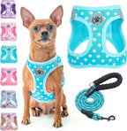 Step-In Dog Harness & Leash Set in Various Patterns – Reflective No Pull (XS- XL)