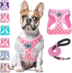 Step-In Dog Harness & Leash Set in Various Patterns – Reflective No Pull (XS- XL)