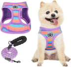 Step-In Dog Harness & Leash Set in Various Patterns – Reflective No Pull (XS- XL)