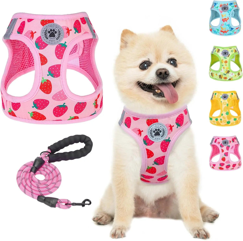 Step-In Dog Harness & Leash Set in Various Patterns – Reflective No Pull (XS- XL)