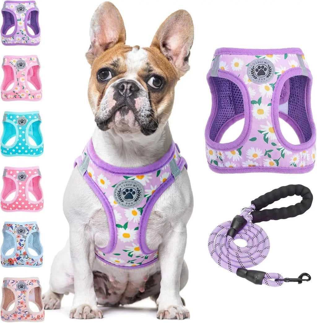 Step-In Dog Harness & Leash Set in Various Patterns – Reflective No Pull (XS- XL)