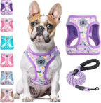 Step-In Dog Harness & Leash Set in Various Patterns – Reflective No Pull (XS- XL)