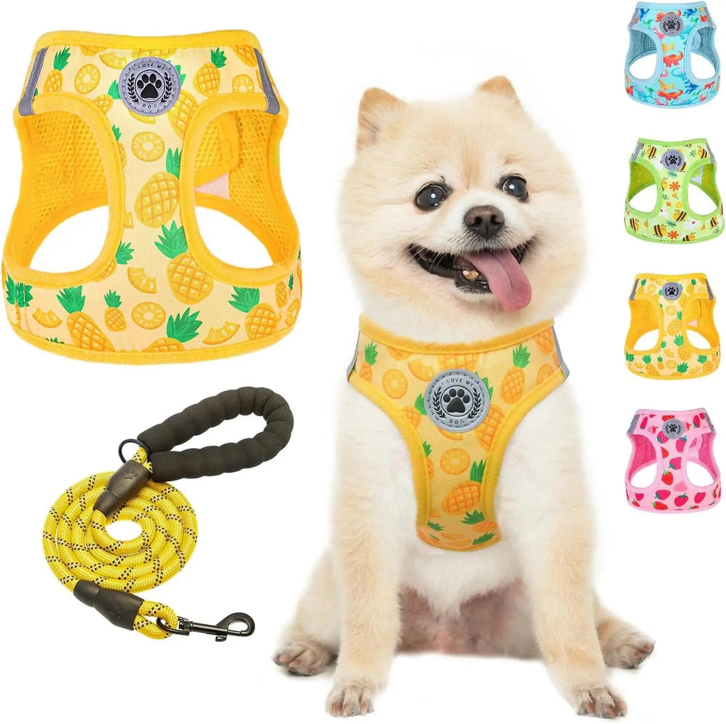 Step-In Dog Harness & Leash Set in Various Patterns – Reflective No Pull (XS- XL)
