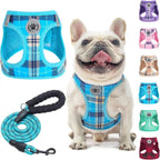 Step-In Dog Harness & Leash Set in Various Patterns – Reflective No Pull (XS- XL)
