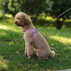 Adjustable Reflective Puppy Harness and Leash Set – Soft Breathable Vest for Small Dogs and Cats