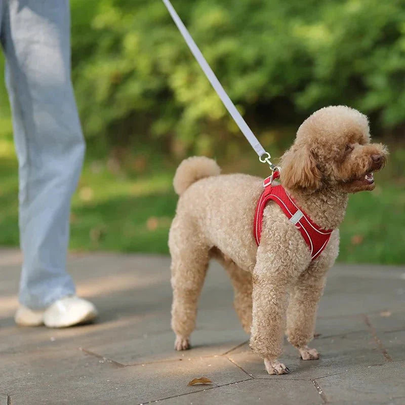 Adjustable Reflective Puppy Harness and Leash Set – Soft Breathable Vest for Small Dogs and Cats