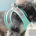 Adjustable Reflective Puppy Harness and Leash Set – Soft Breathable Vest for Small Dogs and Cats