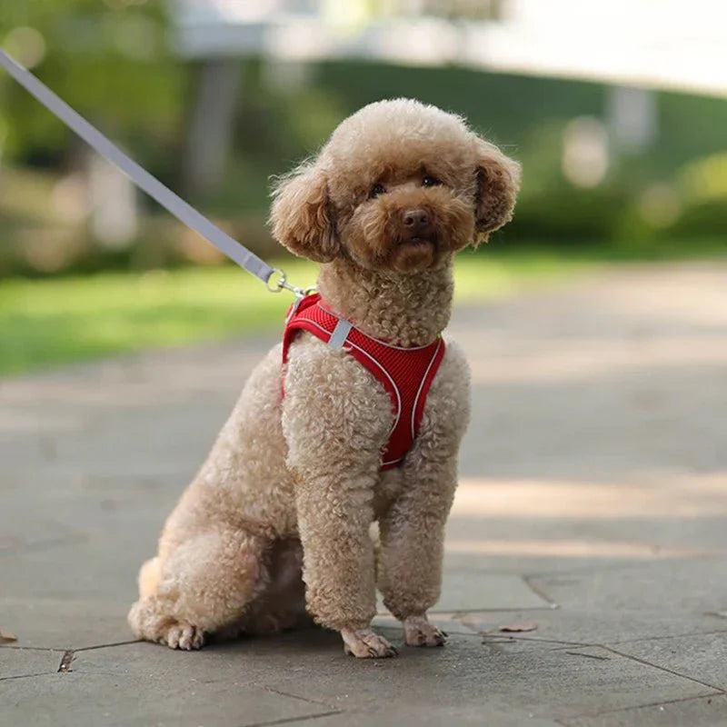 Adjustable Reflective Puppy Harness and Leash Set – Soft Breathable Vest for Small Dogs and Cats