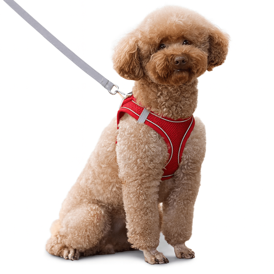 Adjustable Reflective Puppy Harness and Leash Set – Soft Breathable Vest for Small Dogs and Cats
