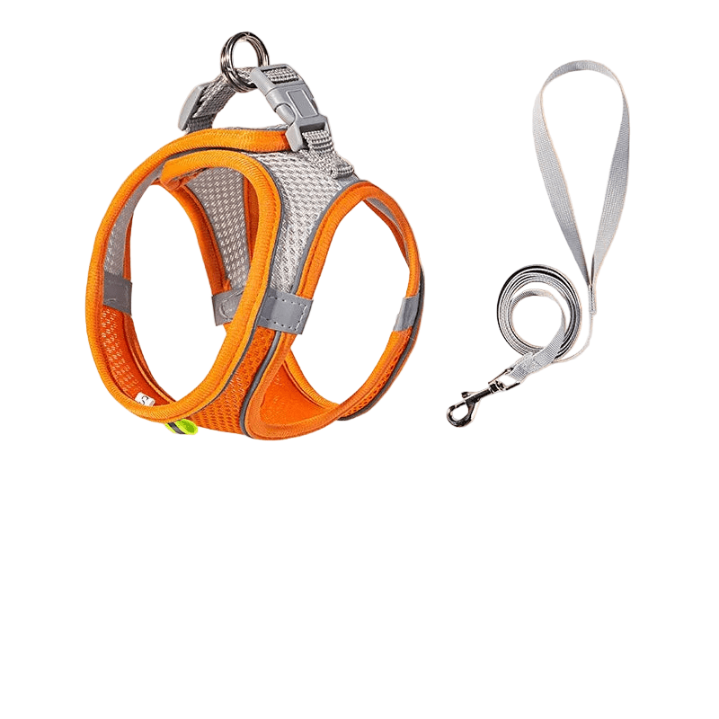 Adjustable Reflective Puppy Harness and Leash Set – Soft Breathable Vest for Small Dogs and Cats