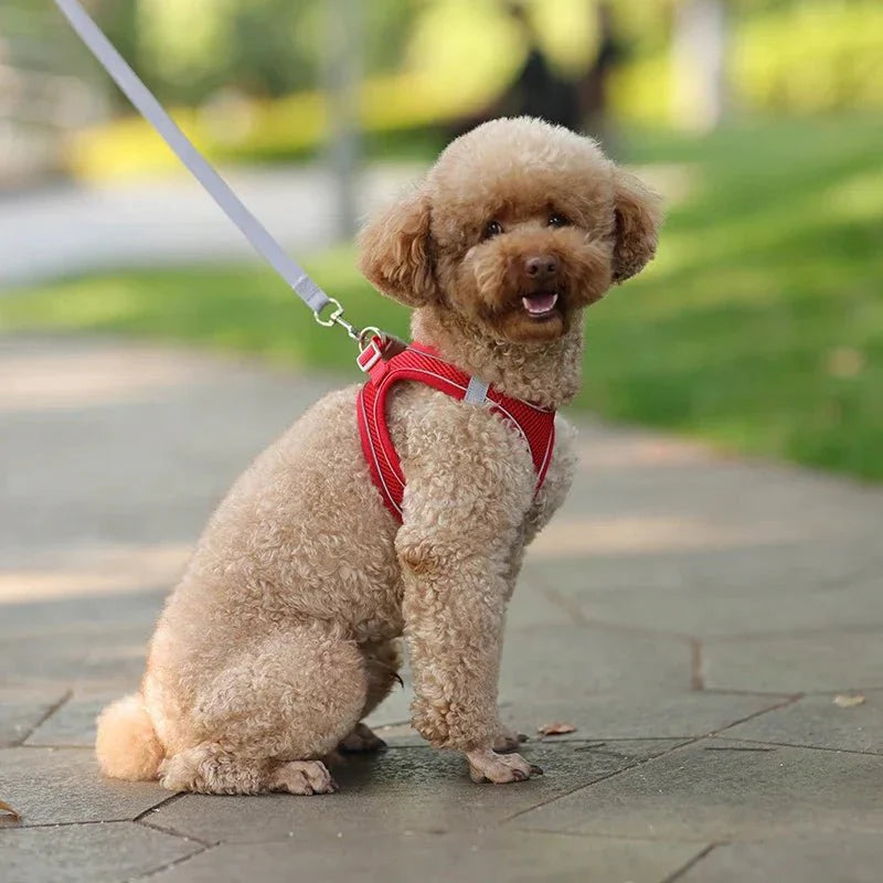 Adjustable Reflective Puppy Harness and Leash Set – Soft Breathable Vest for Small Dogs and Cats