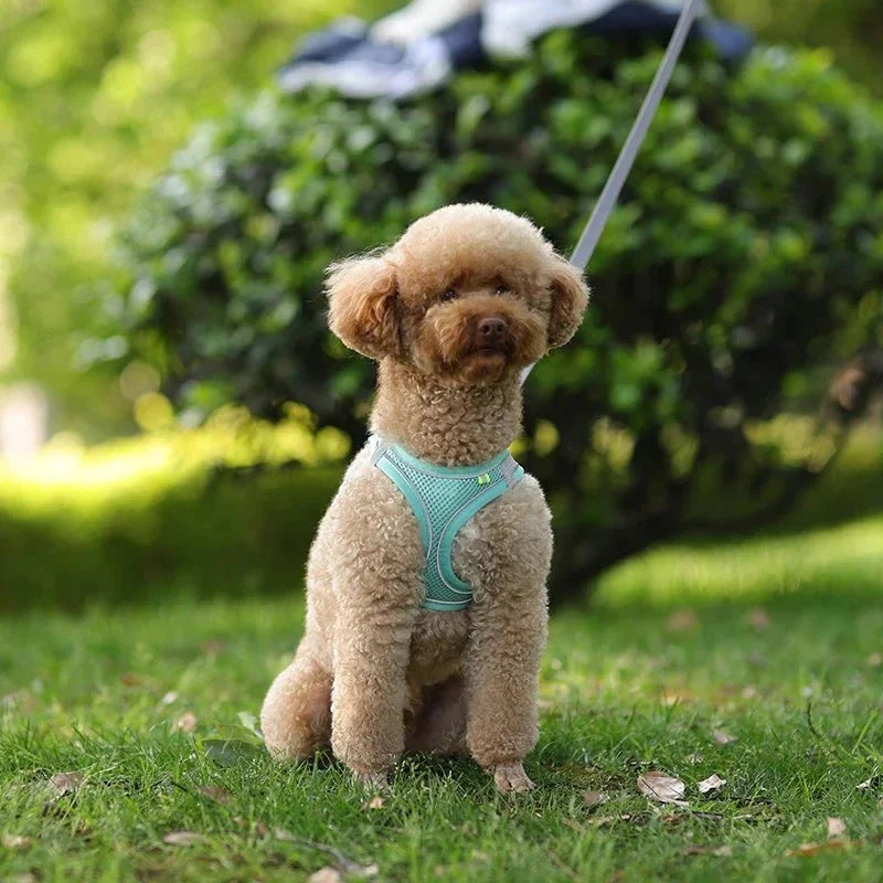 Adjustable Reflective Puppy Harness and Leash Set – Soft Breathable Vest for Small Dogs and Cats