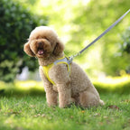 Adjustable Reflective Puppy Harness and Leash Set – Soft Breathable Vest for Small Dogs and Cats