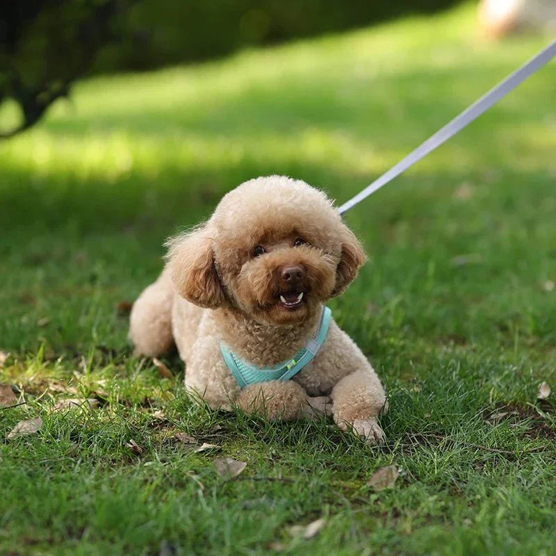 Adjustable Reflective Puppy Harness and Leash Set – Soft Breathable Vest for Small Dogs and Cats