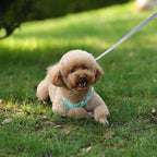 Adjustable Reflective Puppy Harness and Leash Set – Soft Breathable Vest for Small Dogs and Cats
