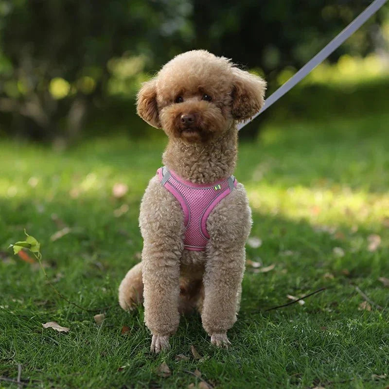 Adjustable Reflective Puppy Harness and Leash Set – Soft Breathable Vest for Small Dogs and Cats